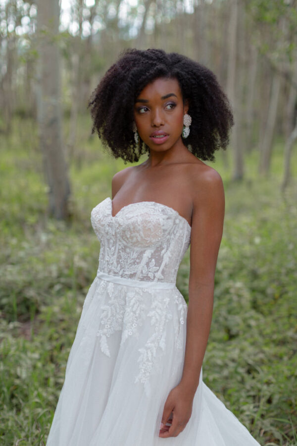 Wren - Image 5